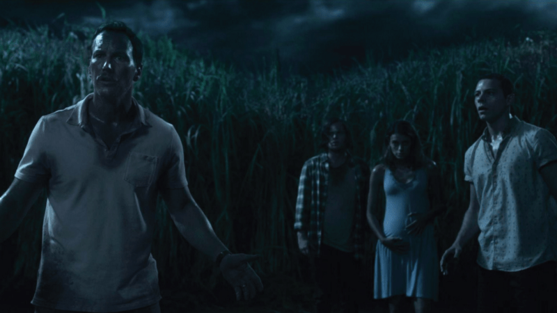 A scene from In The Tall Grass