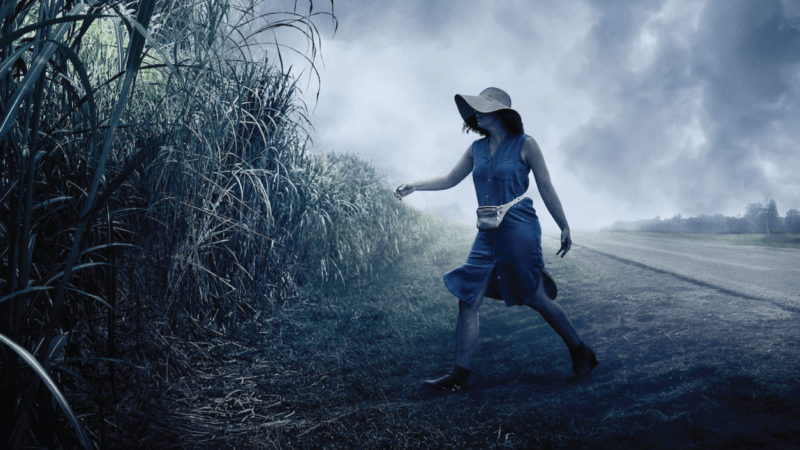 A scene from In The Tall Grass